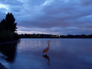 LAURA: Fear of Hospitalization